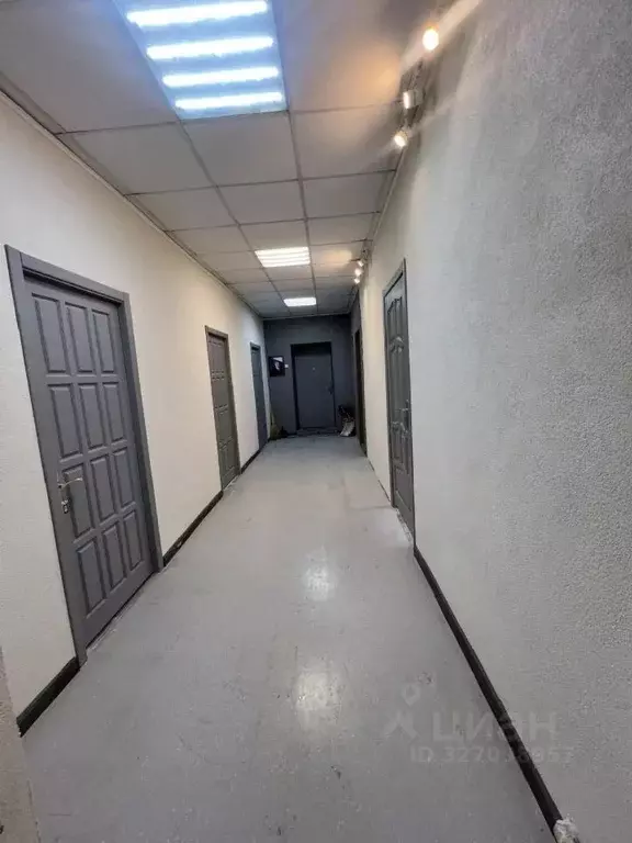 Офис в Татарстан, Казань ул. Восстания, 18б (76 м) - Фото 2