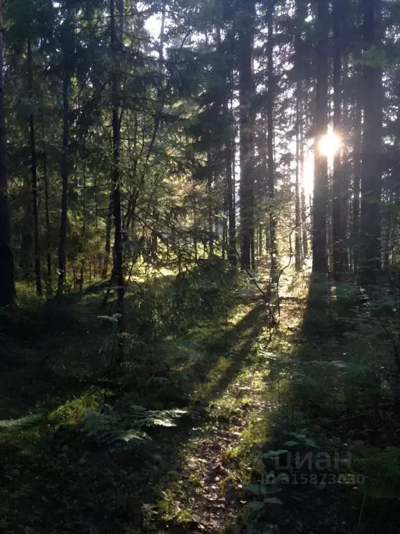 Участок в Санкт-Петербург пос. Репино, Финляндская ул. (153.0 сот.) - Фото 0