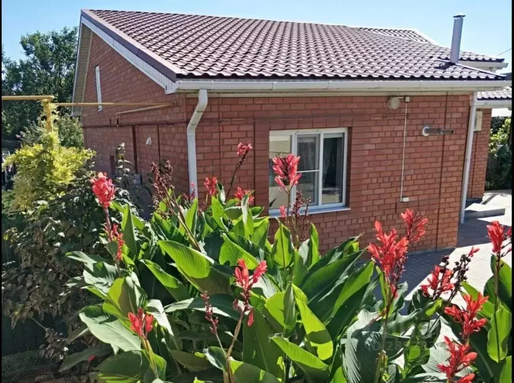 Дом в Краснодарский край, Ейск Совхозная ул., 15/1 (70 м) - Фото 1