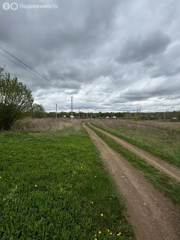 Участок в Московская область, муниципальный округ Зарайск, деревня ... - Фото 0