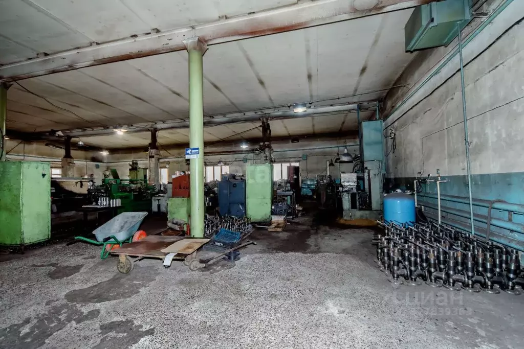 Помещение свободного назначения в Алтайский край, Бийск ... - Фото 1