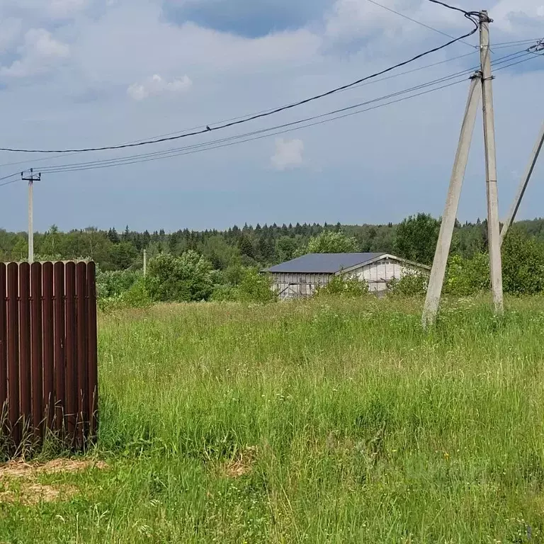 Участок в Московская область, Пушкинский городской округ, д. Нагорное ... - Фото 1