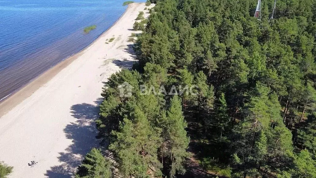 Участок в Ленинградская область, Всеволожский район, Рахьинское ... - Фото 0