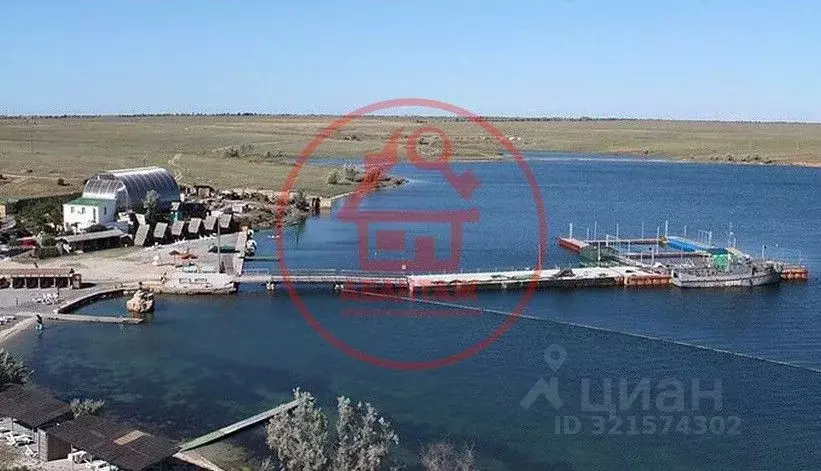 Участок в Крым, Евпатория городской округ, Новоозерное пгт ул. ... - Фото 0