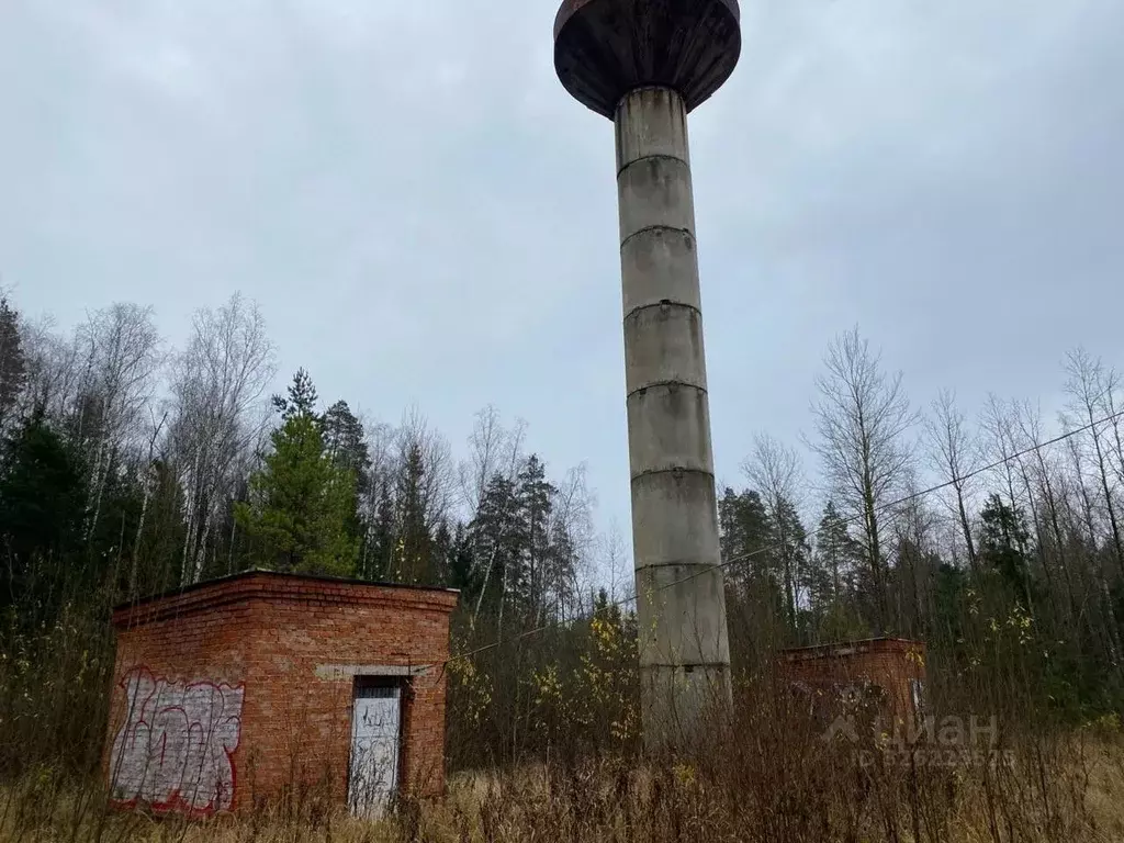 Участок в Московская область, Шатура муниципальный округ, с. Шарапово ... - Фото 1