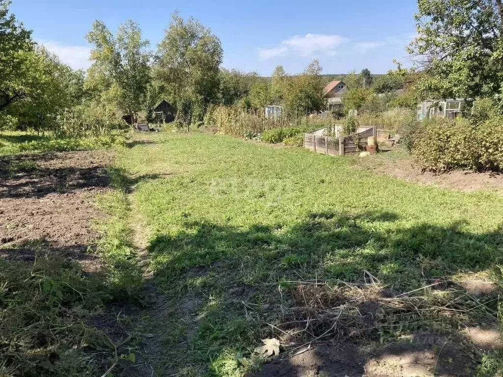 Участок в Амурская область, Благовещенск  (9.9 сот.) - Фото 0