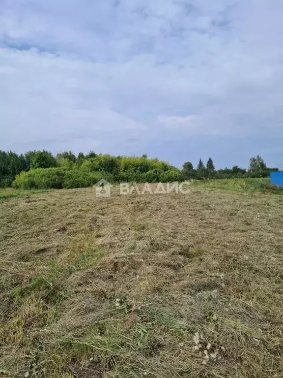 Участок в Воронежская область, Семилукский район, с. Землянск ул. ... - Фото 1