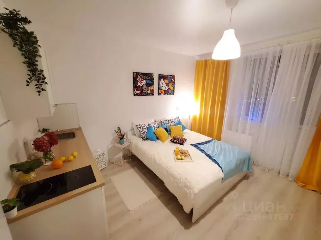 1-к кв. Санкт-Петербург Парашютная ул., 42к1 (26.0 м) - Фото 1