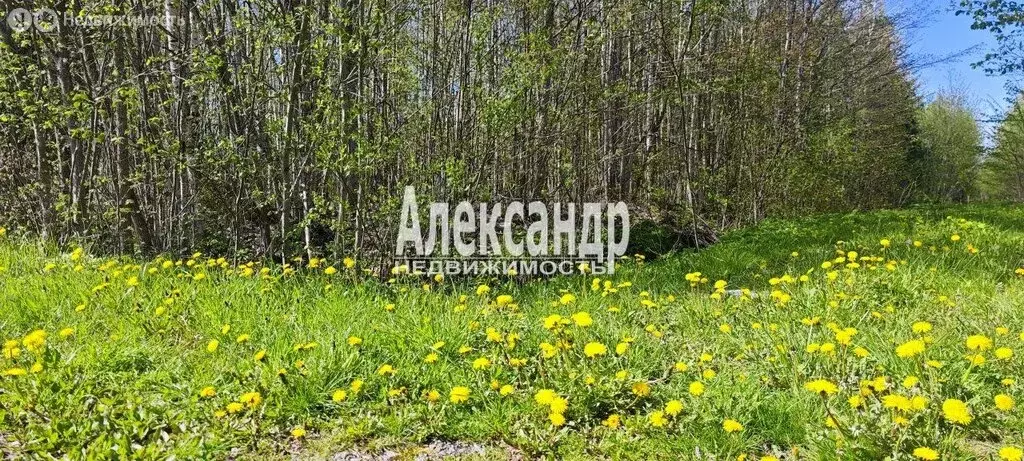 Участок в Лисинское сельское поселение, товарищество собственников ... - Фото 1
