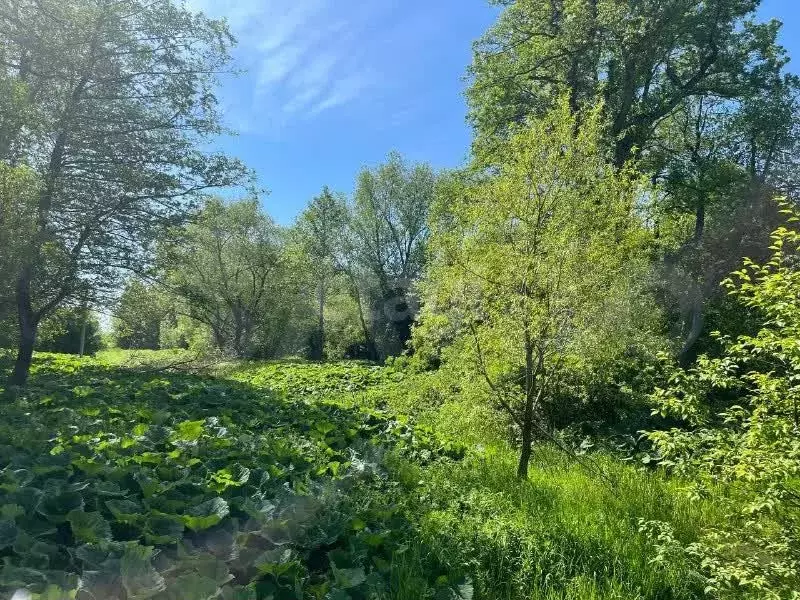 Участок 8 сот. (личное подсобное хозяйство (лпх)) - Фото 1