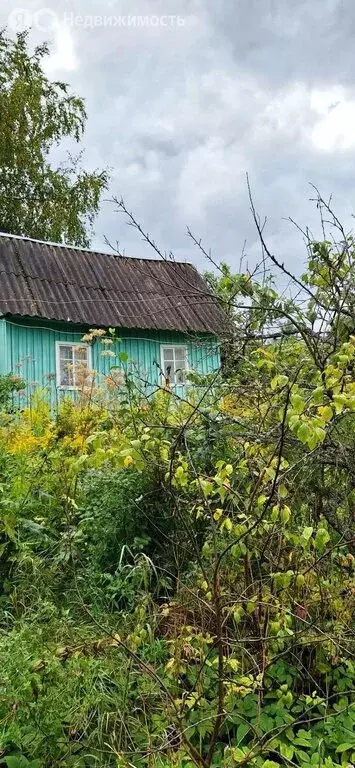 Участок в Ленинградская область, Гатчинский муниципальный округ, ... - Фото 1