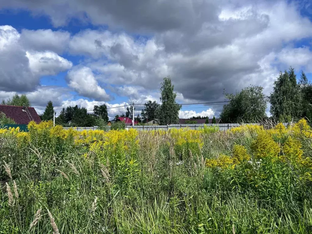 Участок в Санкт-Петербург пос. Усть-Ижора,  (23.0 сот.) - Фото 0