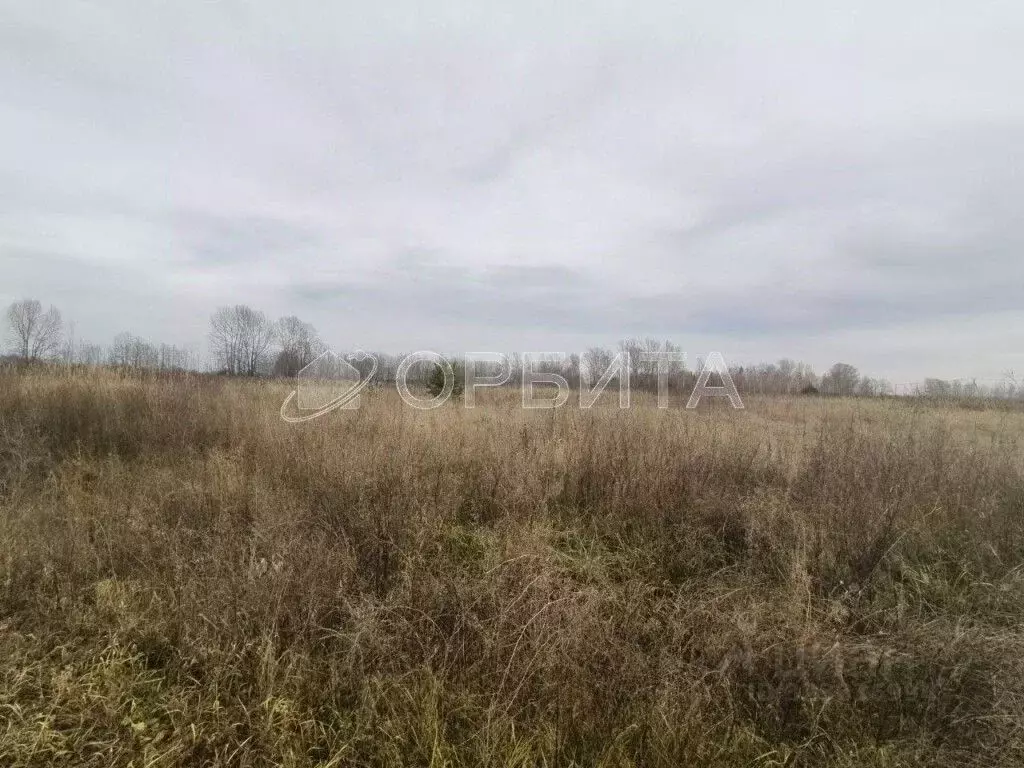 Участок в Тюменская область, Тюменский муниципальный округ, ... - Фото 2