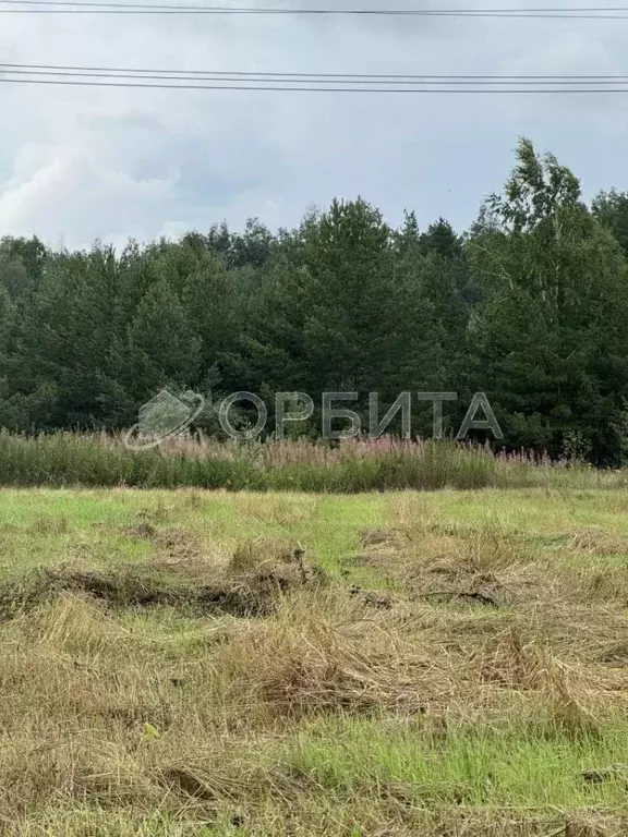 Участок в Тюменская область, Тюменский район, с. Каменка  (36.7 сот.) - Фото 0