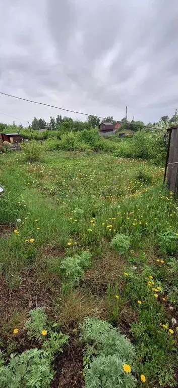 Участок 6 сот. (СНТ, ДНП) - Фото 0