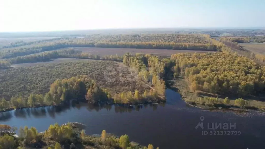 Участок в Тульская область, Белевский район, Правобережное с/пос, с. ... - Фото 2