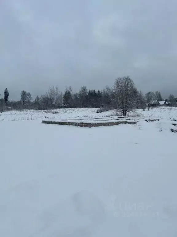 Участок в Ленинградская область, Выборгский район, Рощинское городское ... - Фото 1