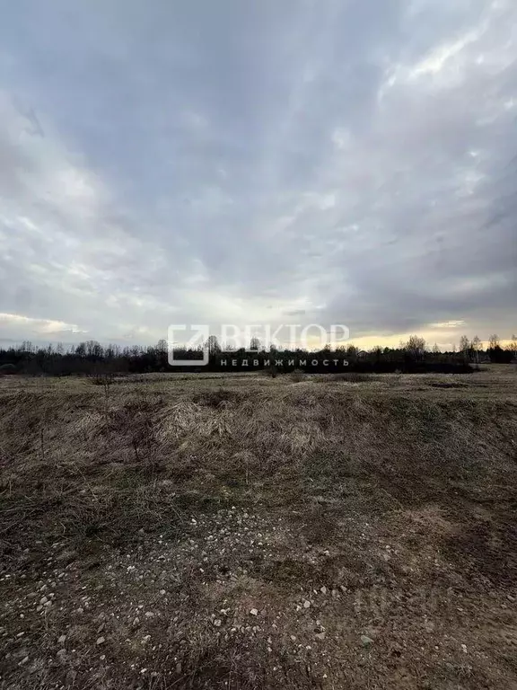 Участок в Ивановская область, Иваново Революционная ул. (8.0 сот.) - Фото 1