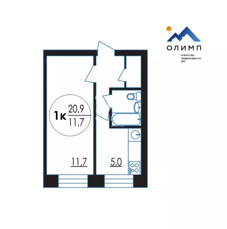 1-к кв. Вологодская область, Вологда Кирпичная ул., 5 (20.9 м) - Фото 1