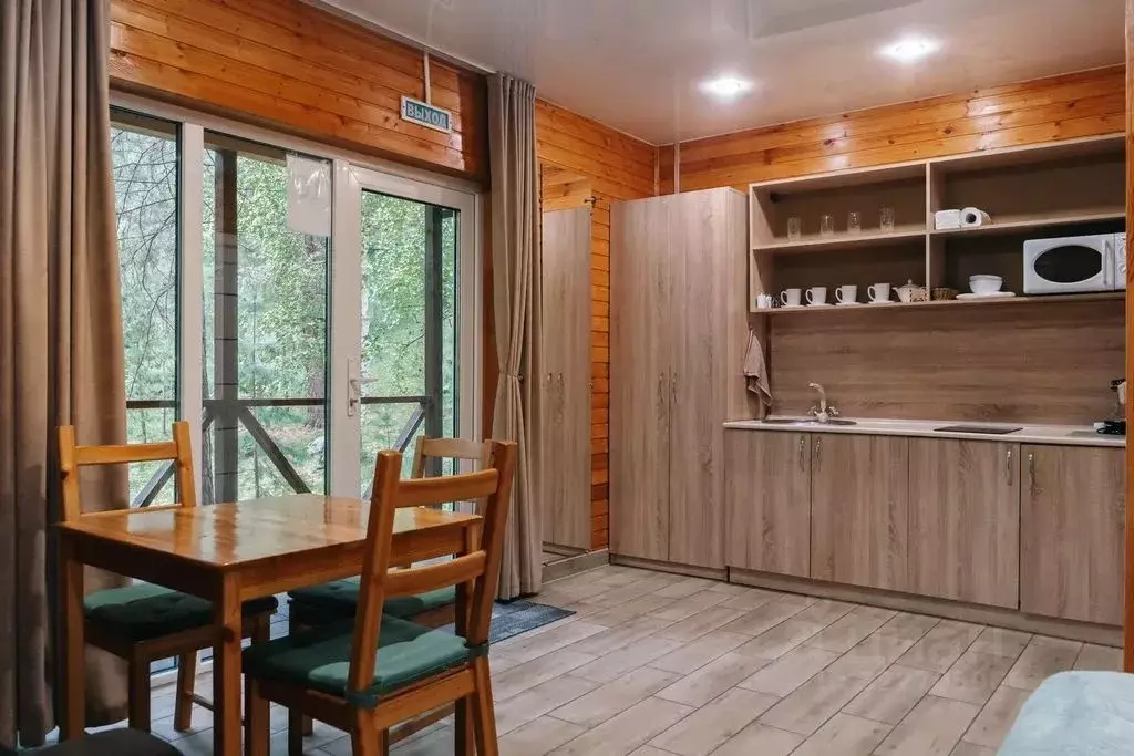 Дом в Алтай, Майминский район Р-256 Чуйский тракт, 469-й км, 1 (25 м) - Фото 2