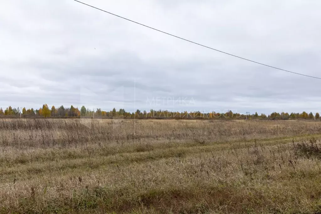 Участок в Тюменская область, Тюмень  (7.13 сот.) - Фото 1