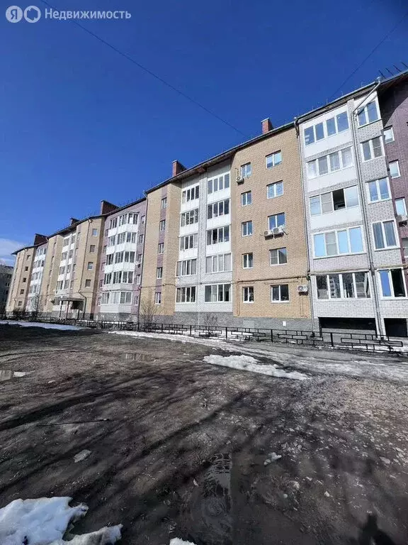 1-комнатная квартира: Бор, микрорайон Красногорка, улица Красногорка, ... - Фото 2