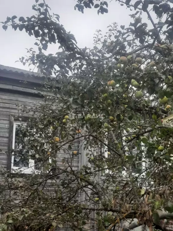 1-к кв. Владимирская область, Вязниковский район, пос. Никологоры ул. ... - Фото 2