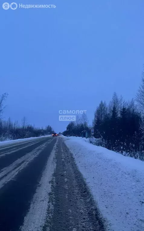 Участок в Ярославская область, Рыбинский муниципальный округ, деревня ... - Фото 2