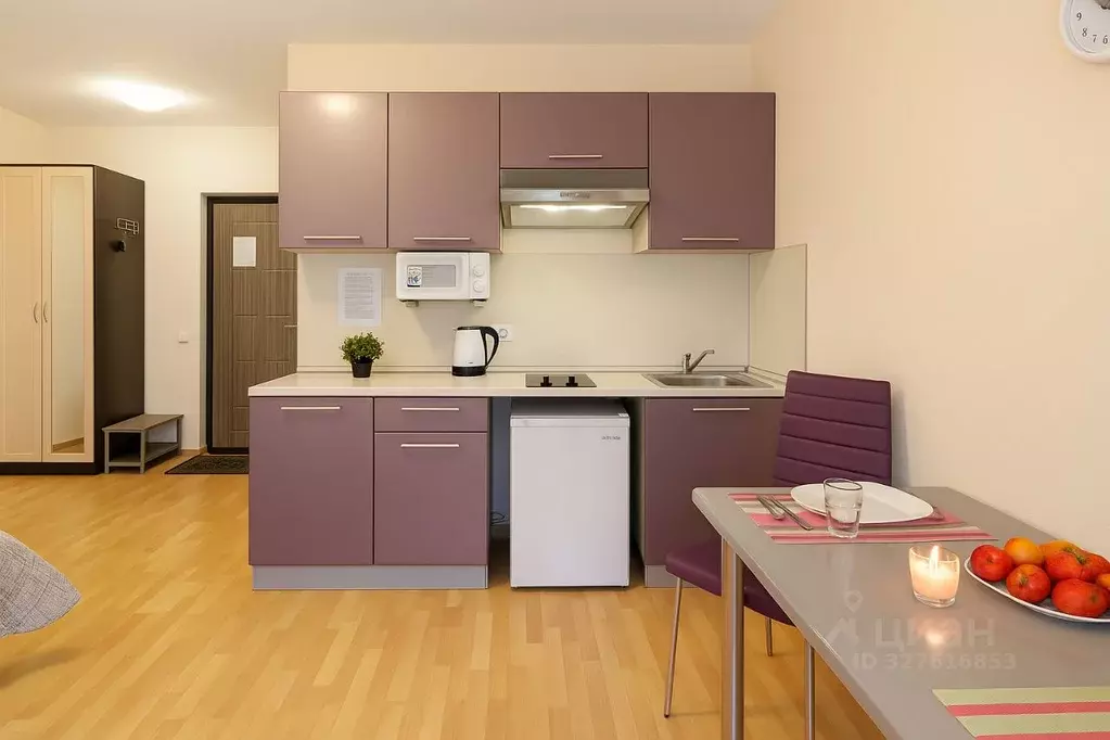 Студия Санкт-Петербург Московский просп., 18 (25.0 м) - Фото 1