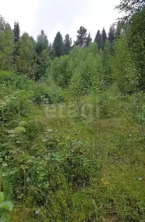 Участок в Таштагол, Кирпичная улица (15 м) - Фото 1