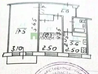 2-к кв. Орловская область, Орел Комсомольская ул., 204 (42.8 м) - Фото 2
