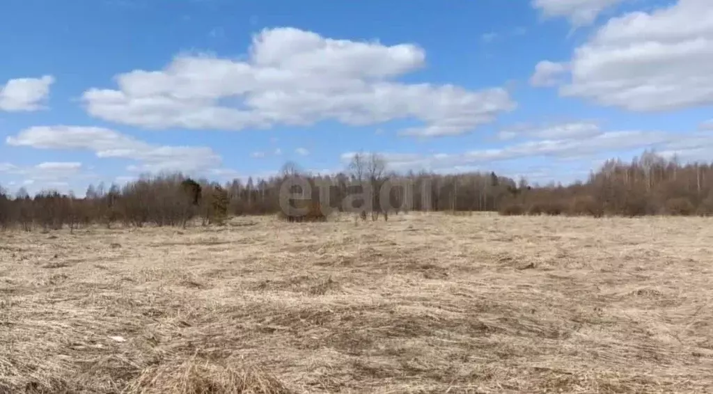 Участок в Вологодская область, Усть-Кубинский муниципальный округ, д. ... - Фото 1