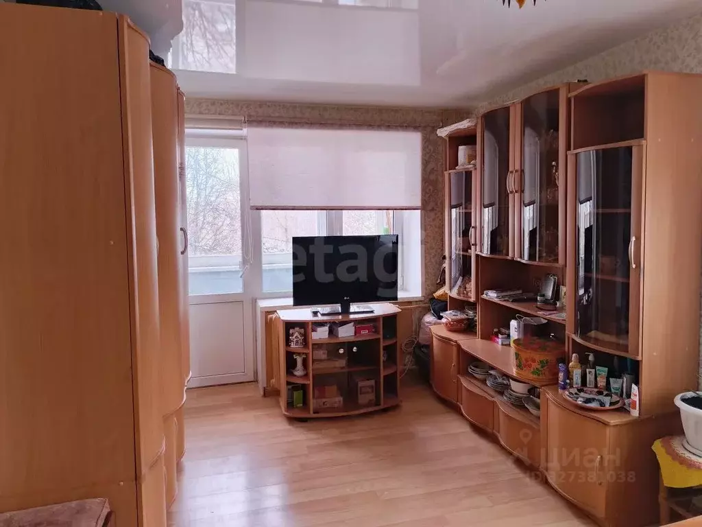 1-к кв. Псковская область, Остров ул. Ленина, 3 (30.7 м) - Фото 2