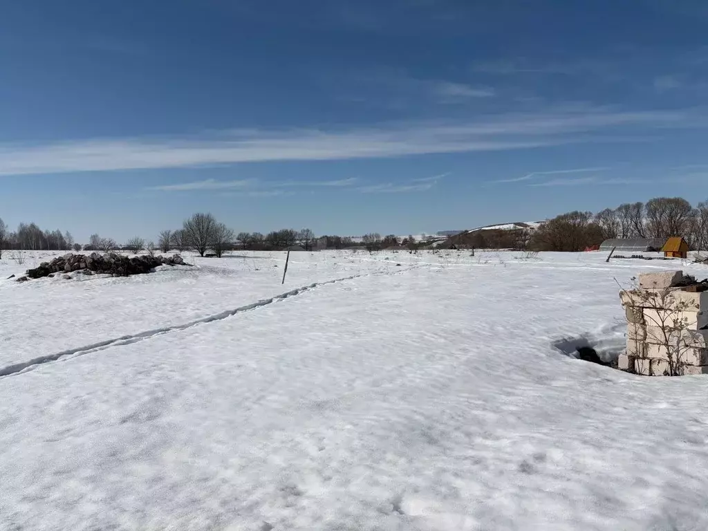 Участок в Мордовия, Саранск городской округ, с. Напольная Тавла  (10.0 ... - Фото 1