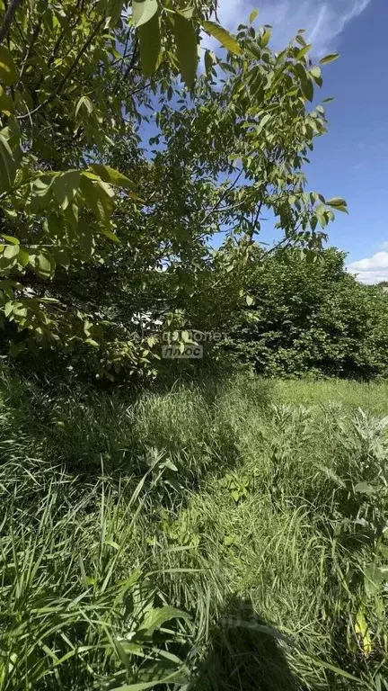 Участок в Краснодарский край, Горячий Ключ ул. Заречье, 57 (11.0 сот.) - Фото 2