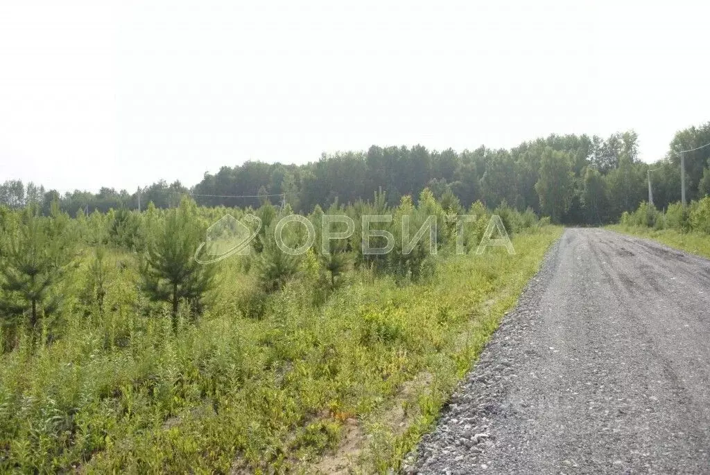 Участок в Тюменская область, Тюменский район, с. Кулига, Кулига-2 мкр  ... - Фото 1