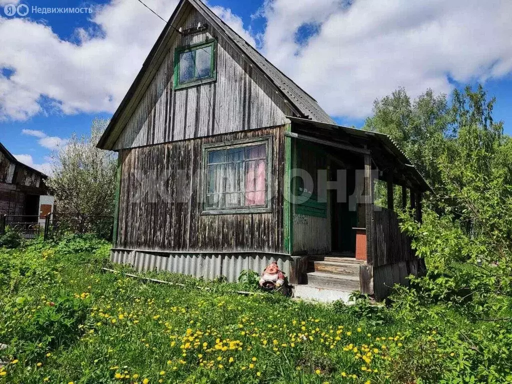 Дом в Новосибирск, садовое товарищество Труд (24 м) - Фото 0