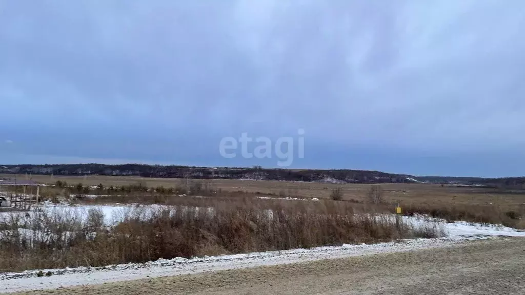 Участок в Амурская область, Благовещенский район, с. Кантон-Коммуна  ... - Фото 1