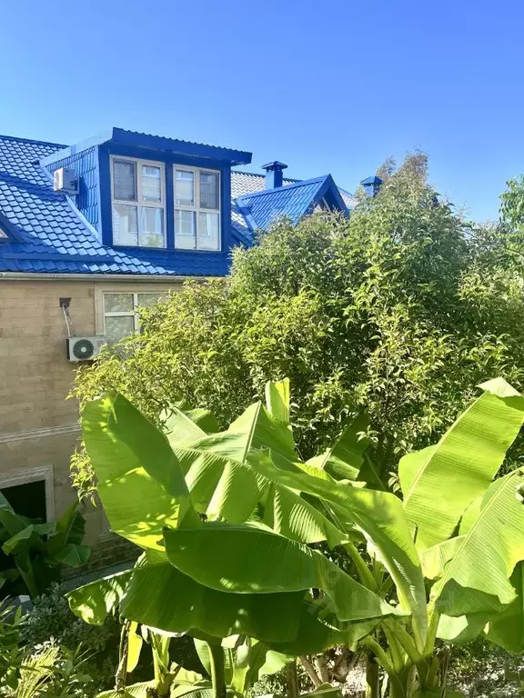 Студия Краснодарский край, Сочи Адлер жилрайон, ул. Пархоменко, 19 ... - Фото 1