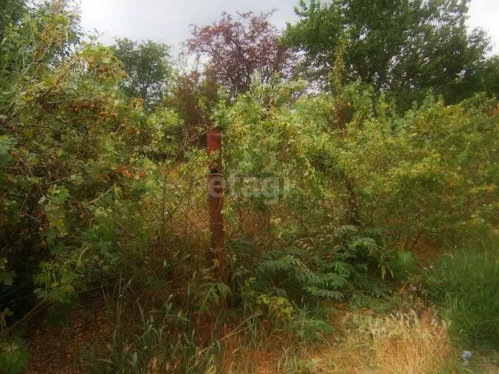 Участок в Ростовская область, Батайск Донская Чаша садовое ... - Фото 0