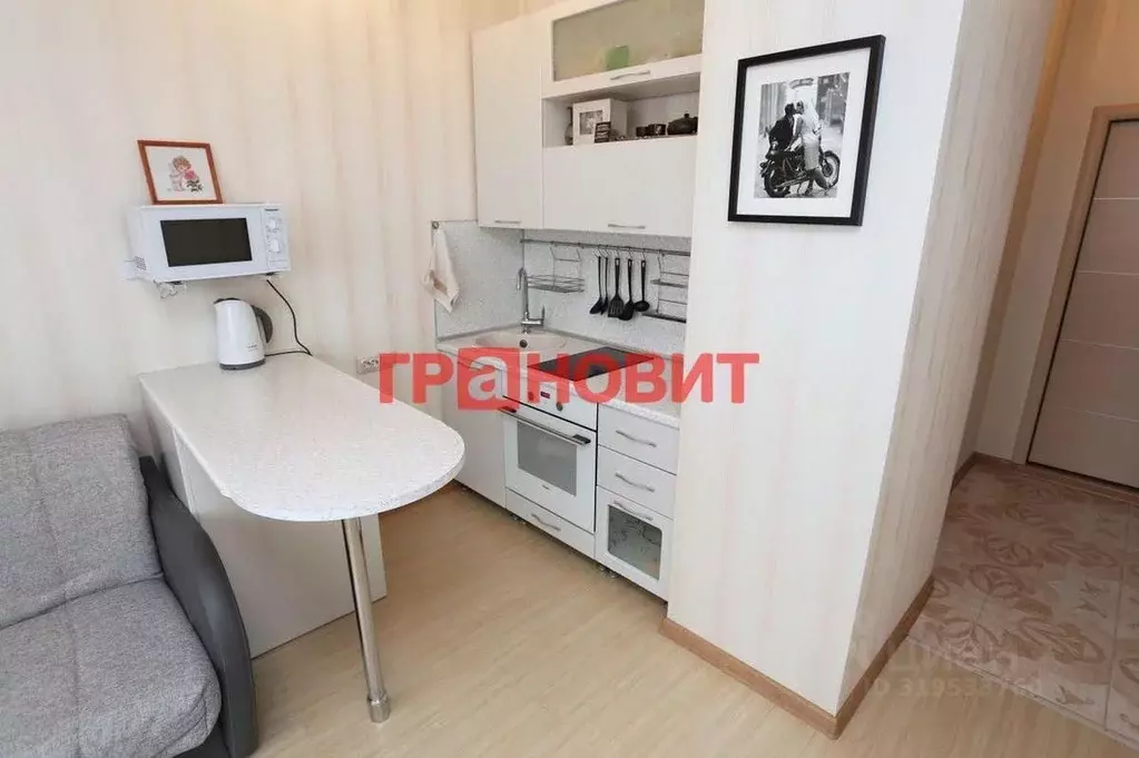Студия Новосибирская область, Новосибирск ул. Виктора Уса, 11 (21.8 м) - Фото 1