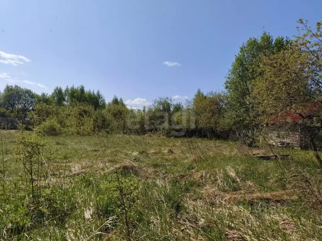 Участок в Смоленская область, Смоленский муниципальный округ, Восход ... - Фото 2