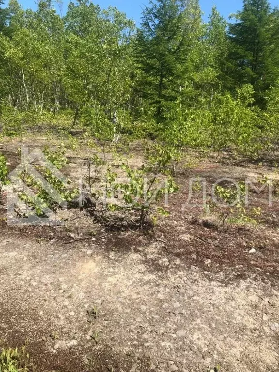 Участок в Сахалинская область, Долинский городской округ, с. Сокол  ... - Фото 1