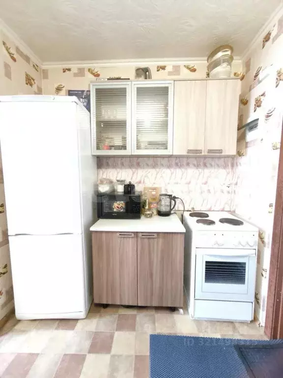 Студия Красноярский край, Красноярск ул. Королева, 11 (16.7 м) - Фото 1