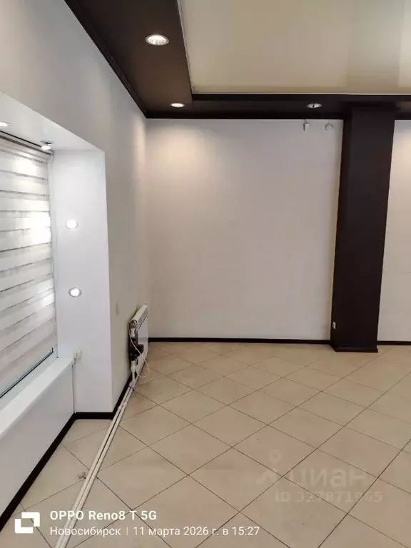 Помещение свободного назначения в Новосибирская область, Новосибирск ... - Фото 1