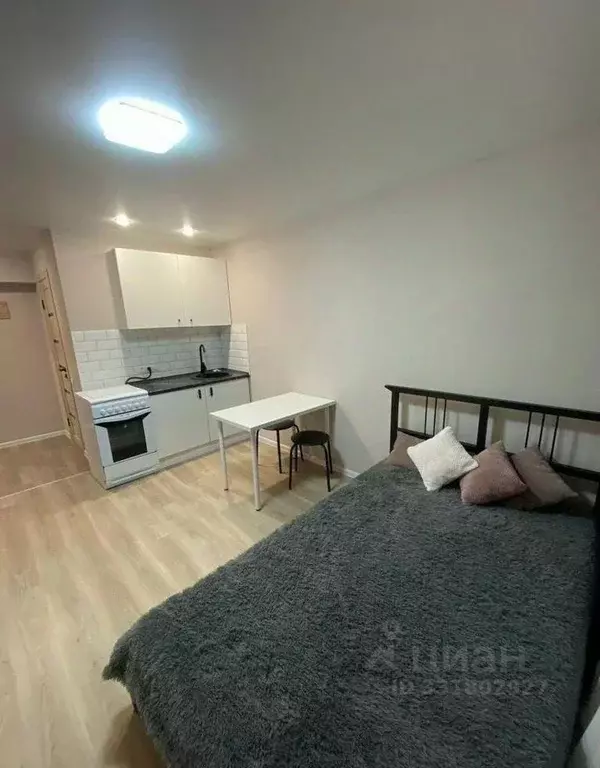 Студия Татарстан, Казань ул. Восстания, 24 (20.0 м) - Фото 2