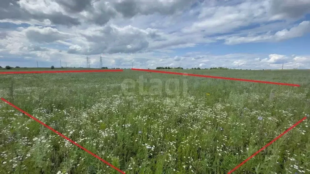 Участок в Башкортостан, Бирск ул. Уютная (9.0 сот.) - Фото 1