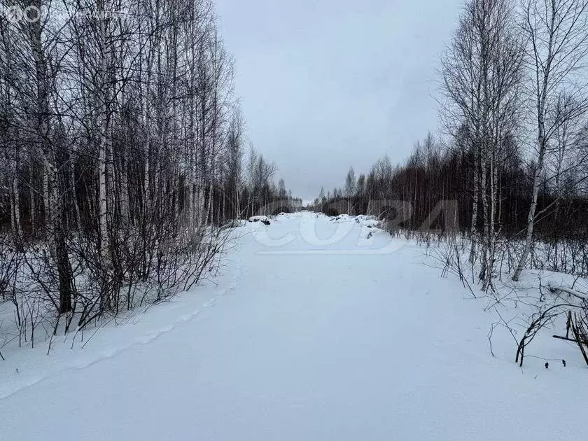 Участок в Нижнетавдинский район, деревня Штакульская (12.5 м) - Фото 0