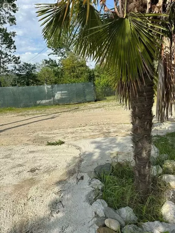 Участок в Орёл-Изумруд, Банановая улица (5.8 м) - Фото 2