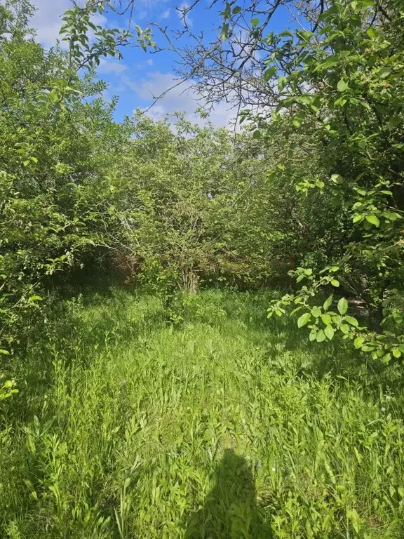 Участок в Ростовская область, Новочеркасск Янтарный пер., 17 (9.5 ... - Фото 1